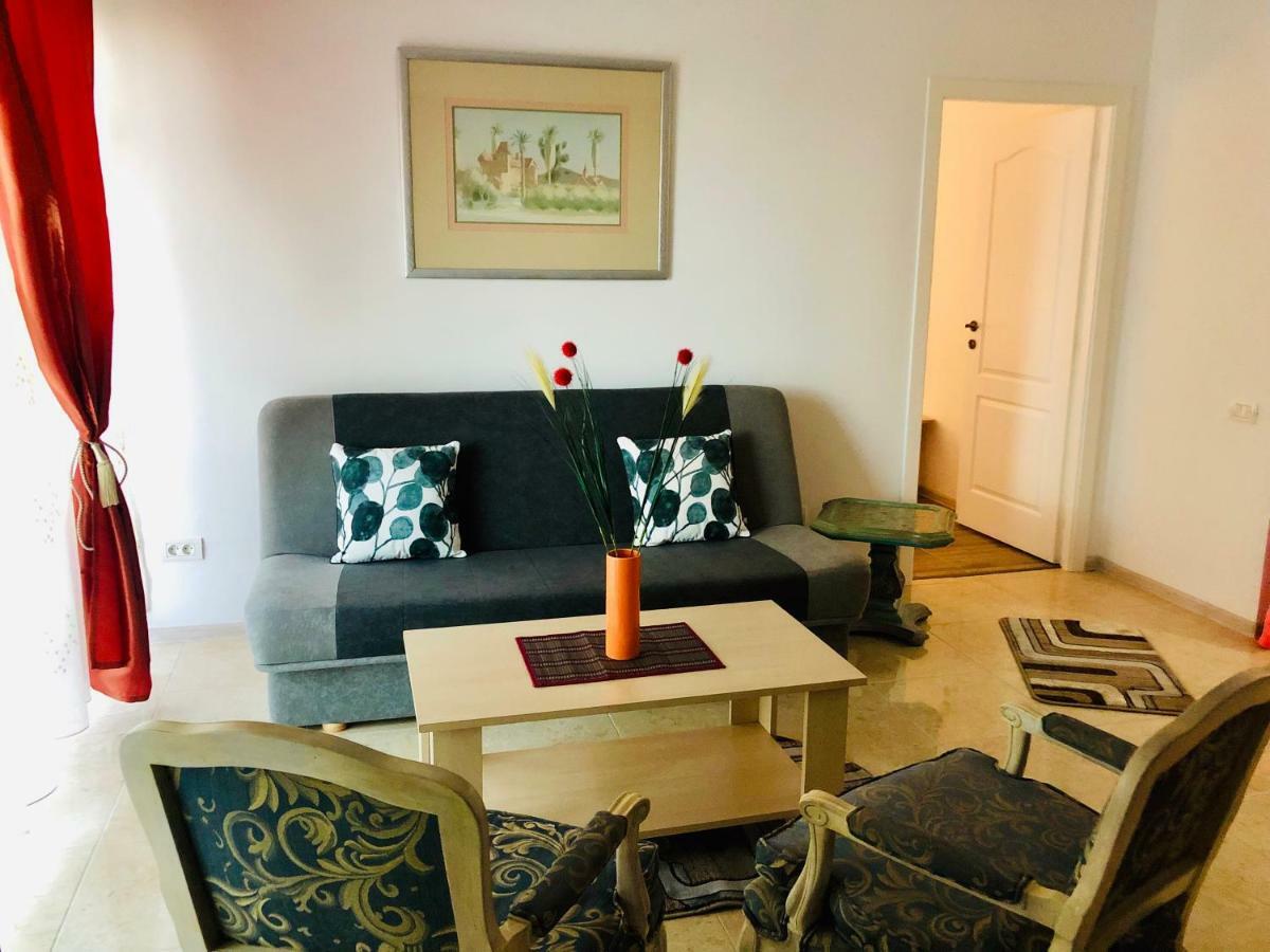 Apartament Adina 马马亚 外观 照片